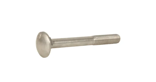 Ümarpeapolt M6x30 zn DIN603